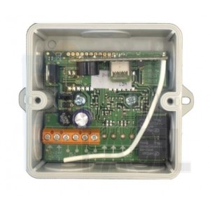 Receptor Clemsa RE 248 U