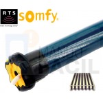 Motor toldo SOMFY OREA RTS 25-17