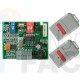 KIT Receptor ERREKA LUNA