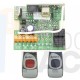 Kit Receptor CLEMSA MUTANcode RE 248 U