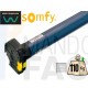 Motor persiana SOMFY ORION S CSI 55/17