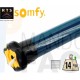 Motor toldo SOMFY ALTUS 50 RTS 6/12 